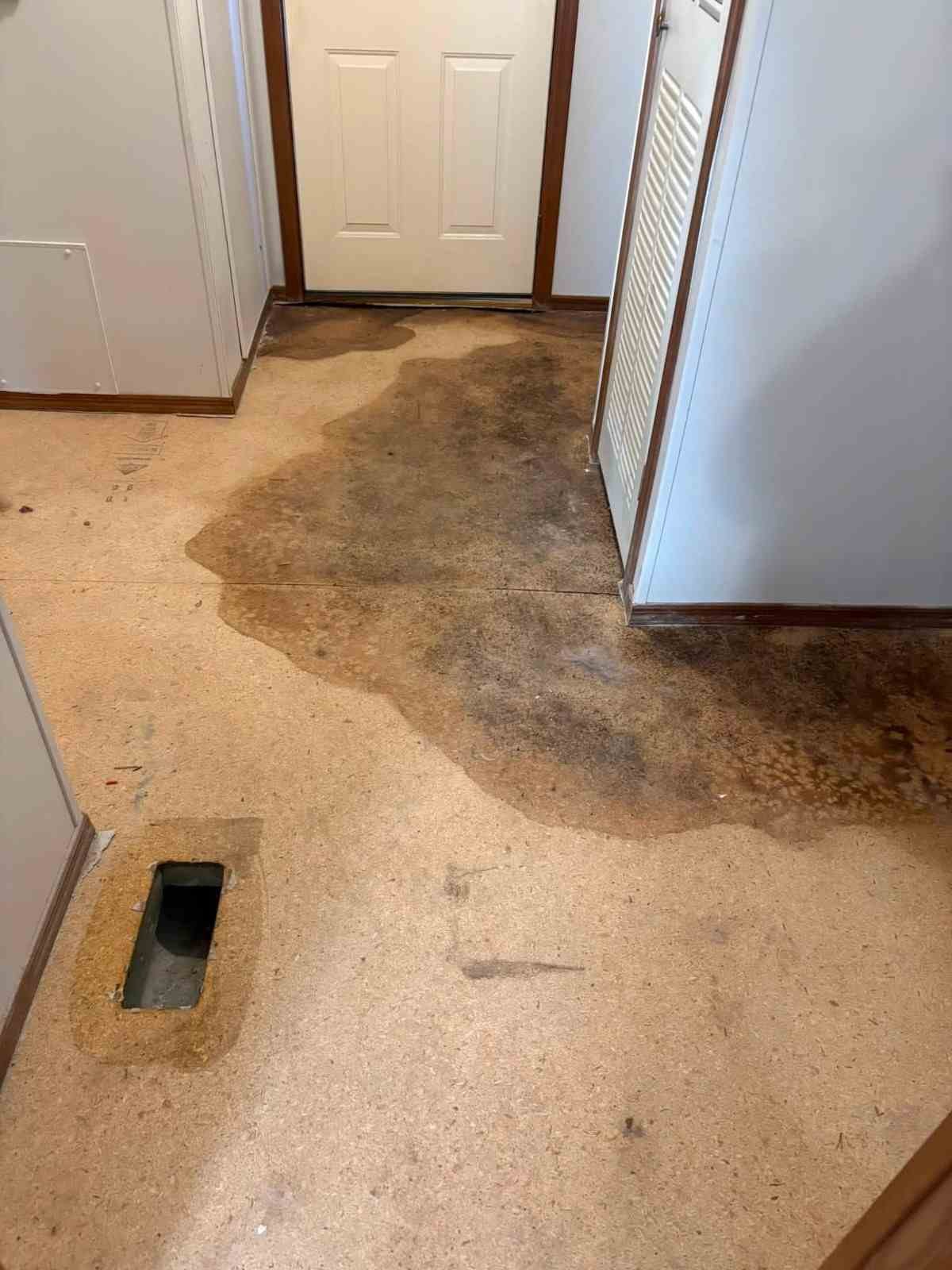 Warning Signs in Floors and Subfloors